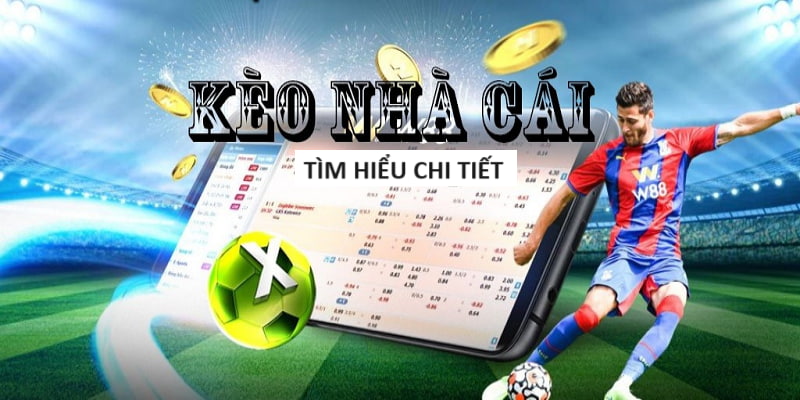 Mậu Binh Online Miễn Phí - Chơi Mậu Binh Không Cần Nạp Tiền